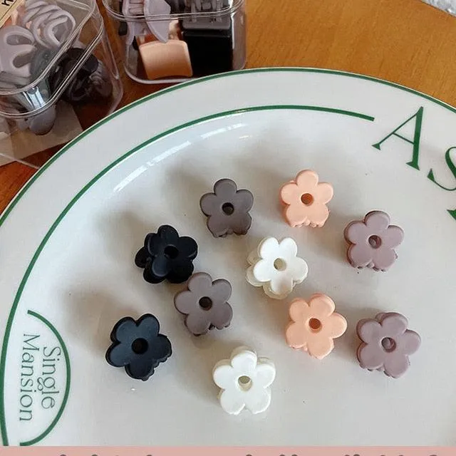 Luxury Matte Plastic Mini Hair Claws