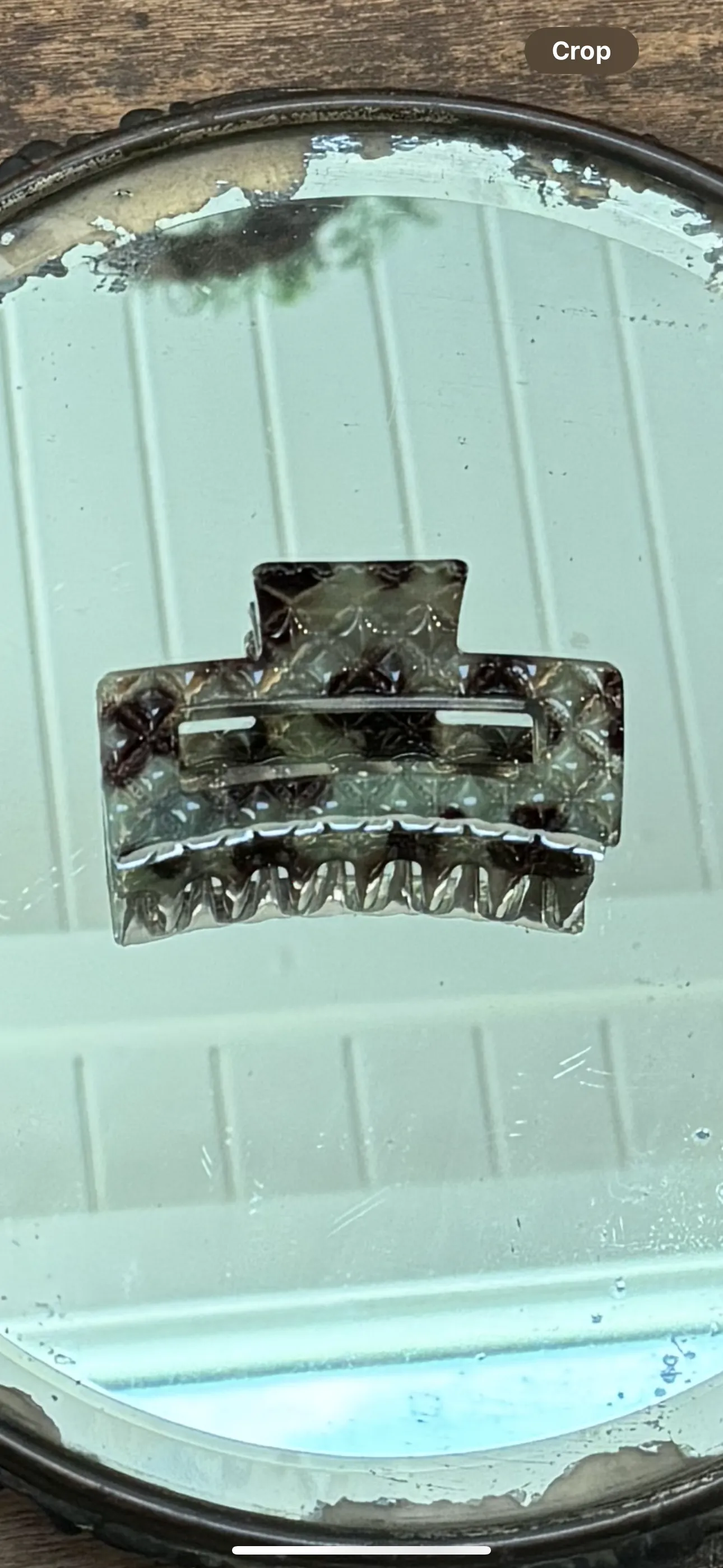 Tortoise Hair Clips